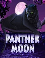 โหมด ทดลอง เล่น สล็อต สนุกได้แบบไม่มีข้อจำกัด